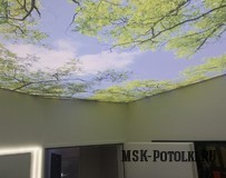 Двухслойный прозрачный натяжной потолок с подсветкой
