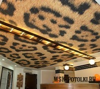 Тканевый натяжной потолок с фотопечатью
